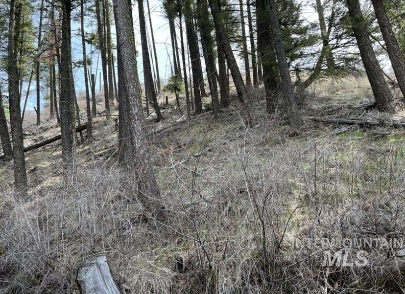 5 Acres of Land for Sale in Anatone, Washington
