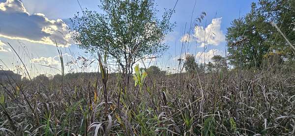 4 Acres of Residential Land for Sale in Mount Pleasant, Michigan