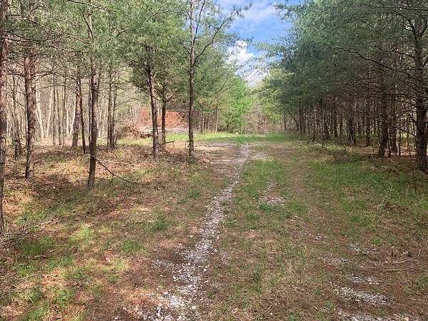 2.73 Acres of Land for Sale in Spencer, Tennessee