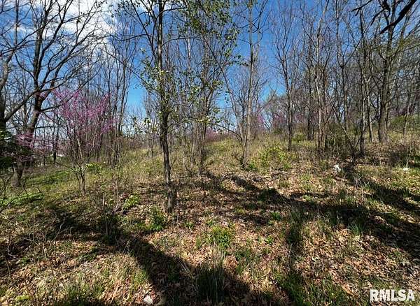 1.39 Acres of Residential Land for Sale in Port Byron, Illinois