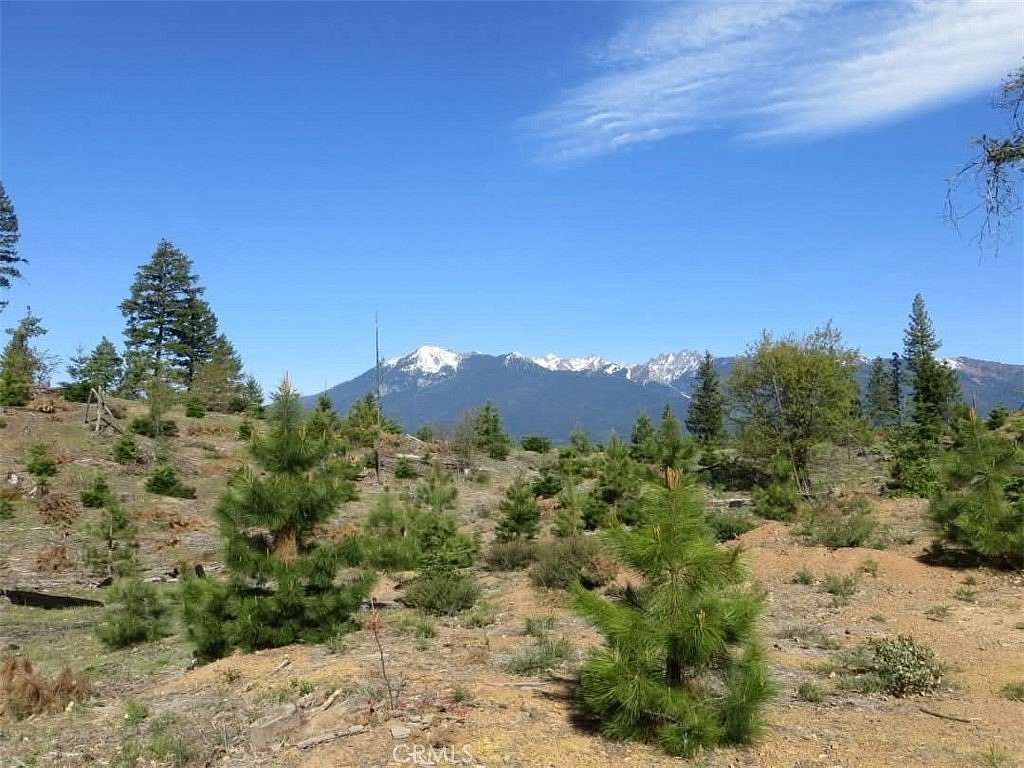 35 Acres of Recreational Land for Sale in Trinity Center, California
