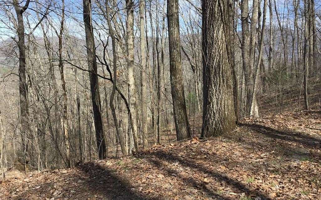 1.45 Acres of Residential Land for Sale in Hayesville, North Carolina