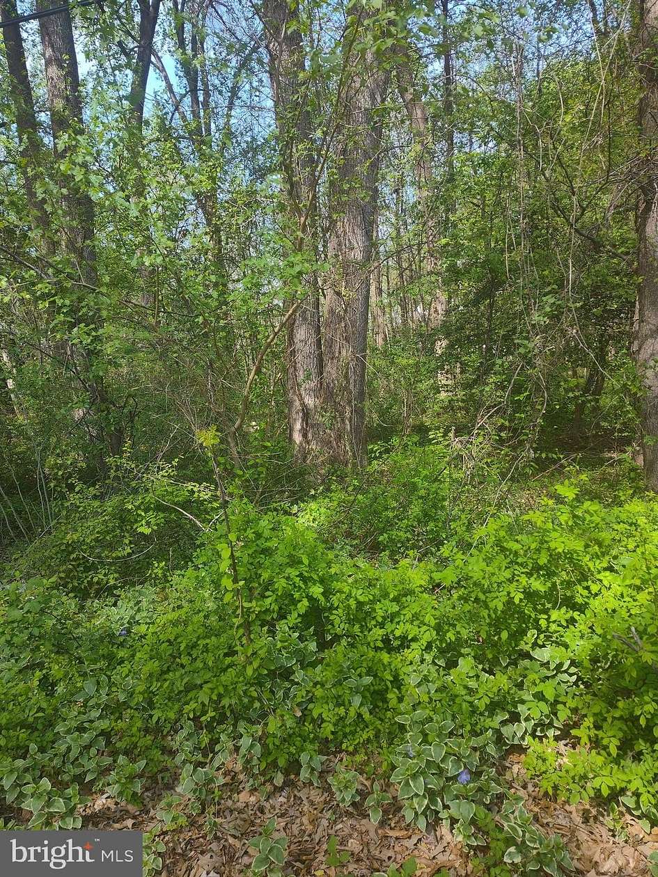 2 Acres of Residential Land for Sale in Chestertown, Maryland