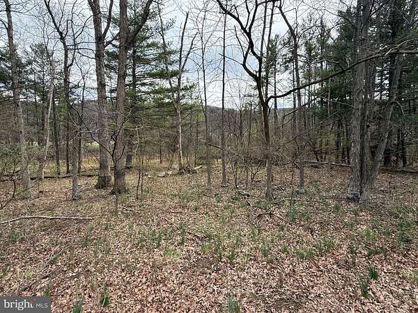1.65 Acres of Land for Sale in New Creek, West Virginia
