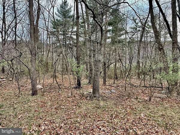 1.65 Acres of Residential Land for Sale in New Creek, West Virginia