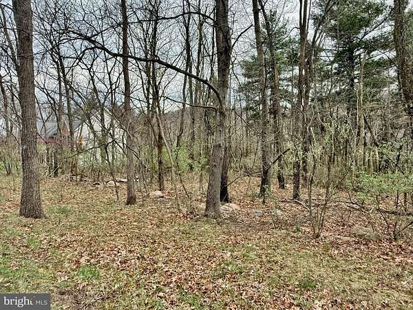 1.65 Acres of Residential Land for Sale in New Creek, West Virginia
