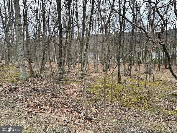 1.15 Acres of Residential Land for Sale in New Creek, West Virginia