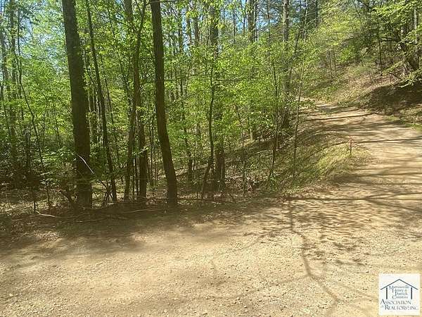 22.4 Acres of Land for Sale in Woolwine, Virginia