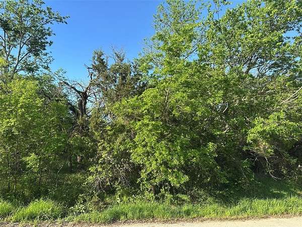 0.19 Acres of Residential Land for Sale in Ranger, Texas