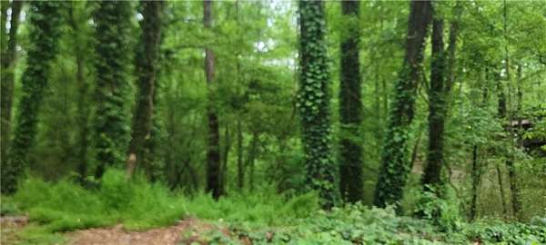 1.6 Acres of Residential Land for Sale in Marietta, Georgia