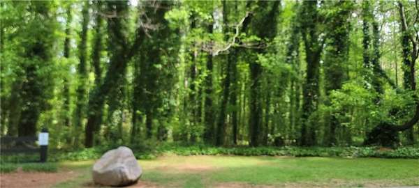 0.34 Acres of Residential Land for Sale in Kennesaw, Georgia