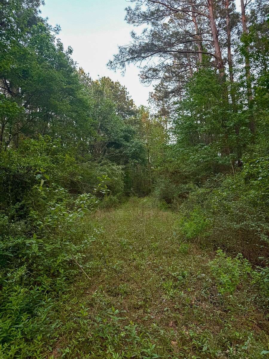 9.22 Acres of Commercial Land for Sale in Huntsville, Texas
