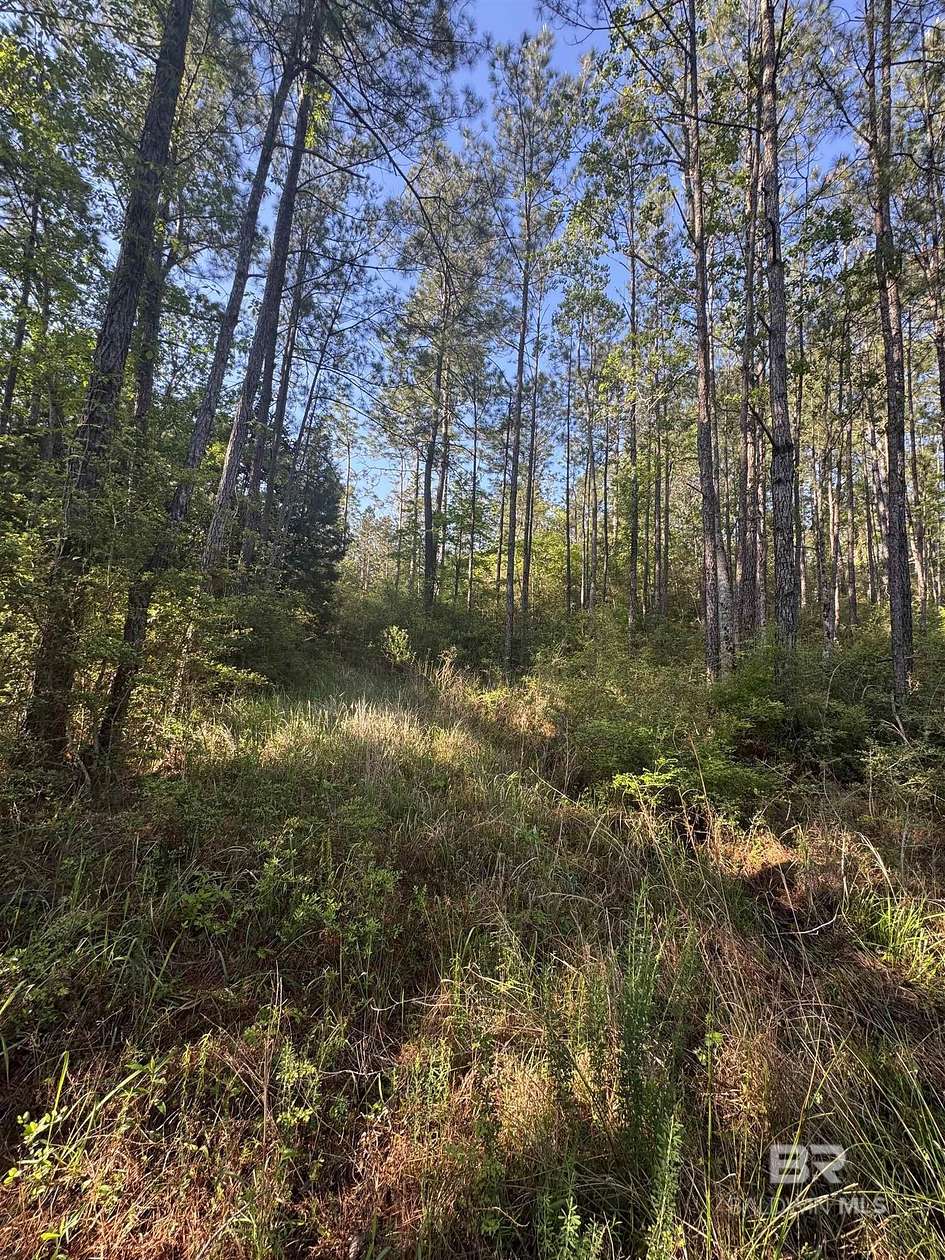 1.29 Acres of Residential Land for Sale in Spanish Fort, Alabama