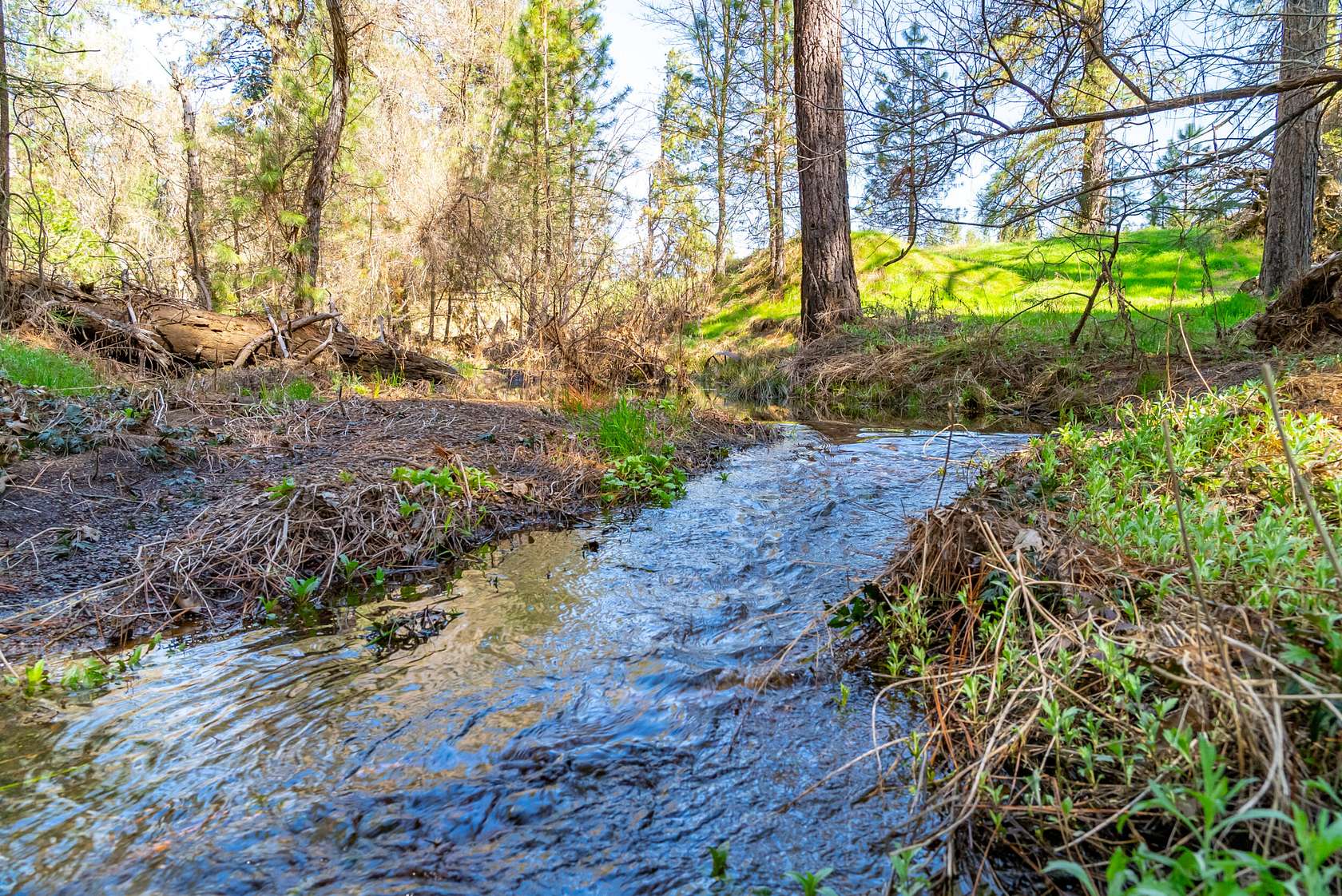 150 Acres of Recreational Land for Sale in Greeley Hill, California