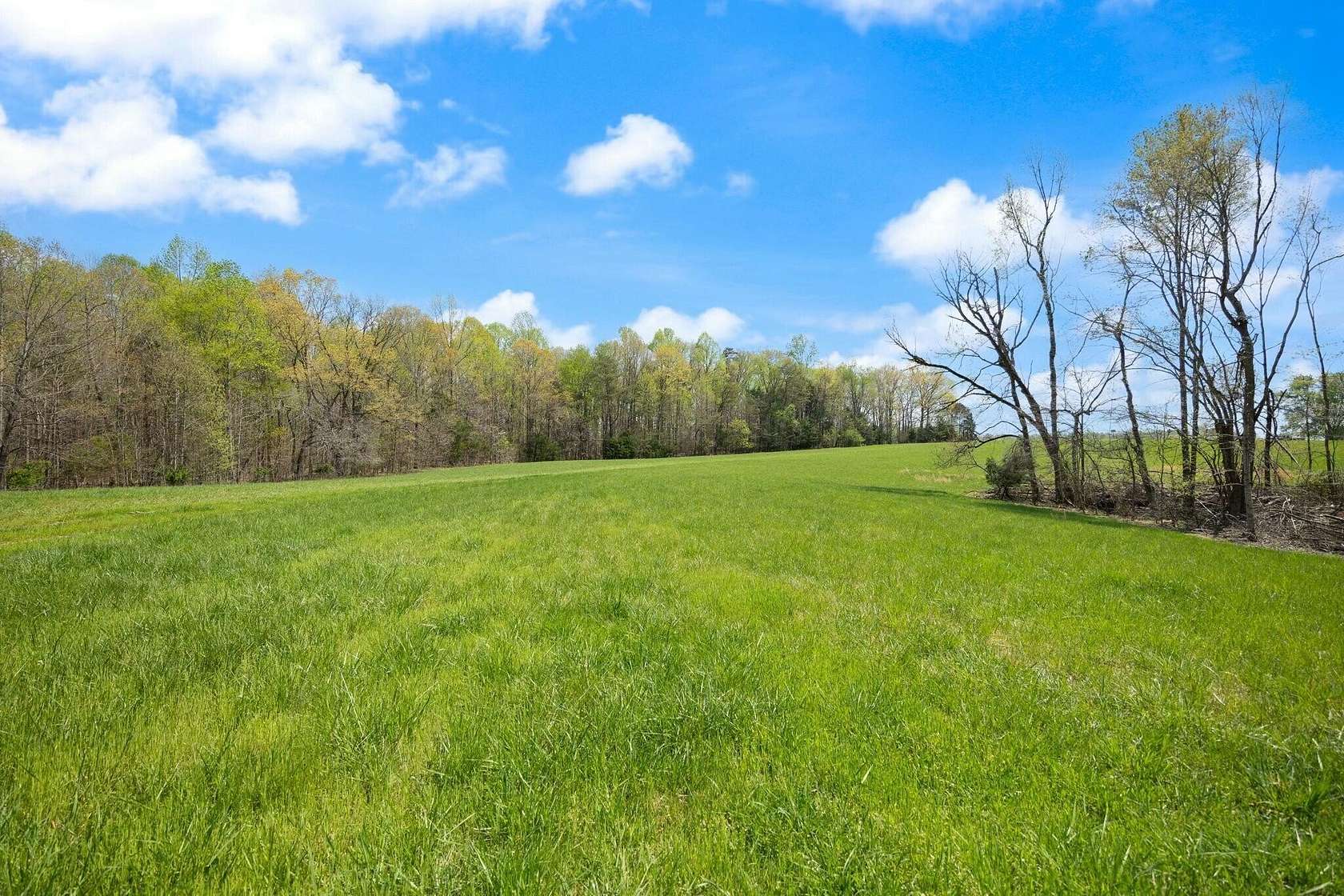 84 Acres of Land for Sale in Albany, Kentucky