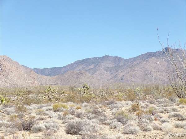 1 Acre of Residential Land for Sale in Yucca, Arizona