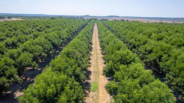 105 Acres of Agricultural Land for Sale in San Saba, Texas