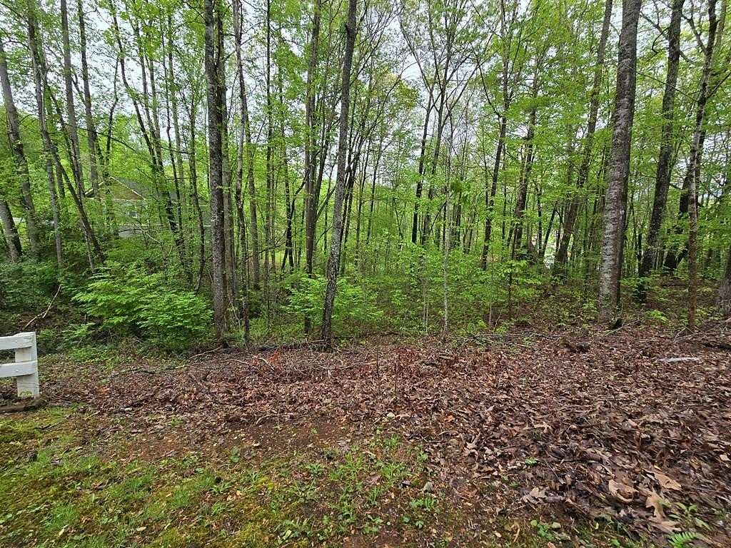 0.49 Acres of Residential Land for Sale in Hayesville, North Carolina