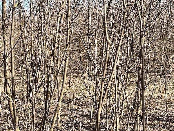 5.64 Acres of Commercial Land for Sale in Kent, Ohio