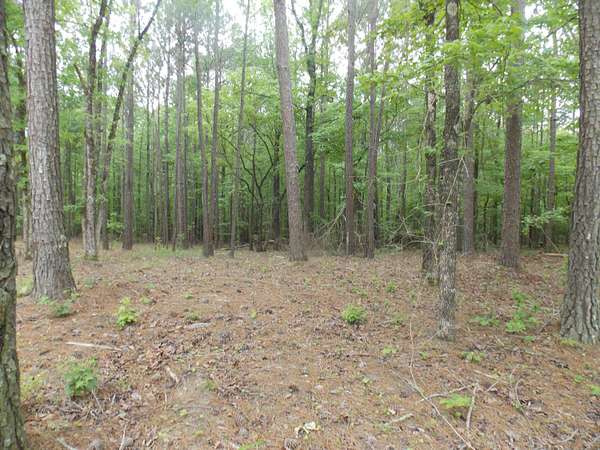 0.86 Acres of Land for Sale in Tignall, Georgia
