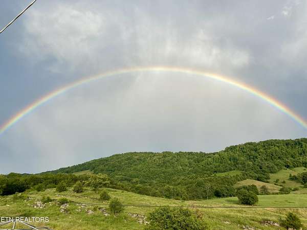 42 Acres of Agricultural Land for Sale in Tazewell, Tennessee