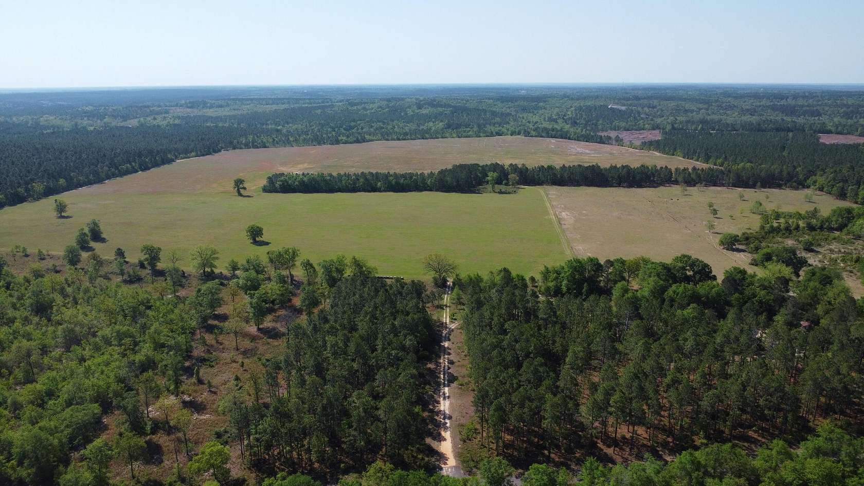260 Acres of Agricultural Land for Sale in Wagener, South Carolina