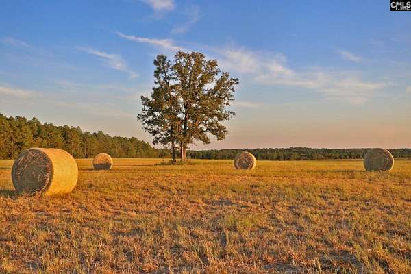 260 Acres of Land for Sale in Wagener, South Carolina