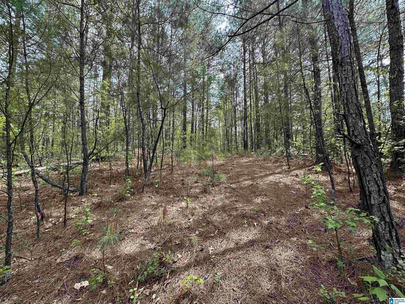 2 Acres of Residential Land for Sale in Chelsea, Alabama