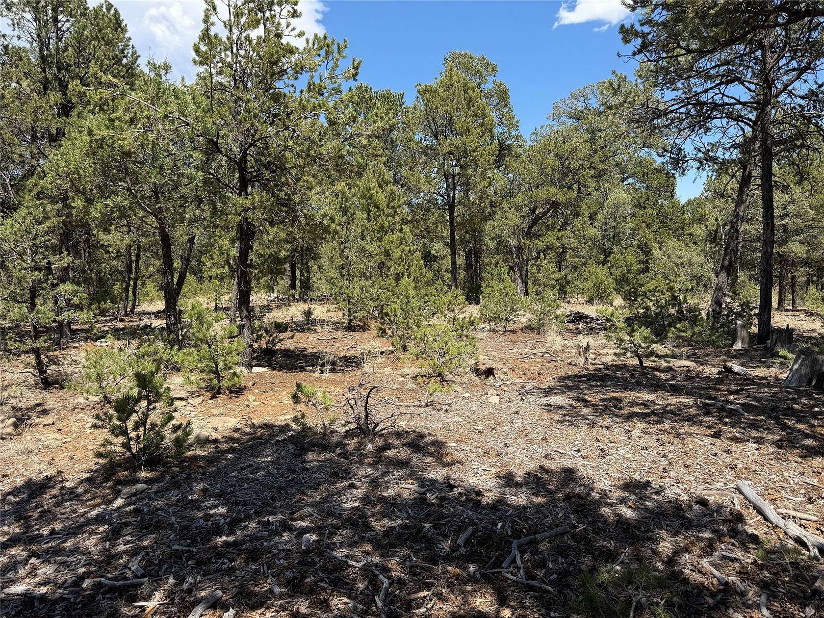 1.77 Acres of Residential Land for Sale in Pecos, New Mexico