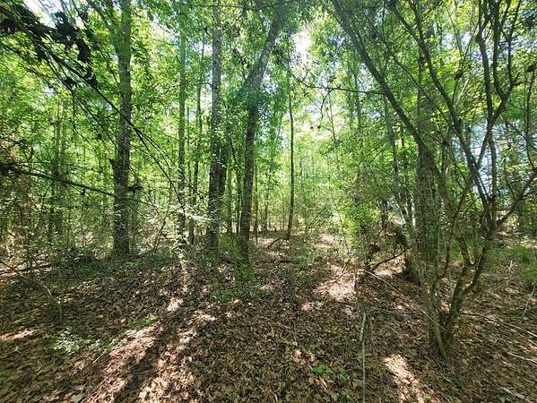 Residential Land for Sale in Geneva, Alabama