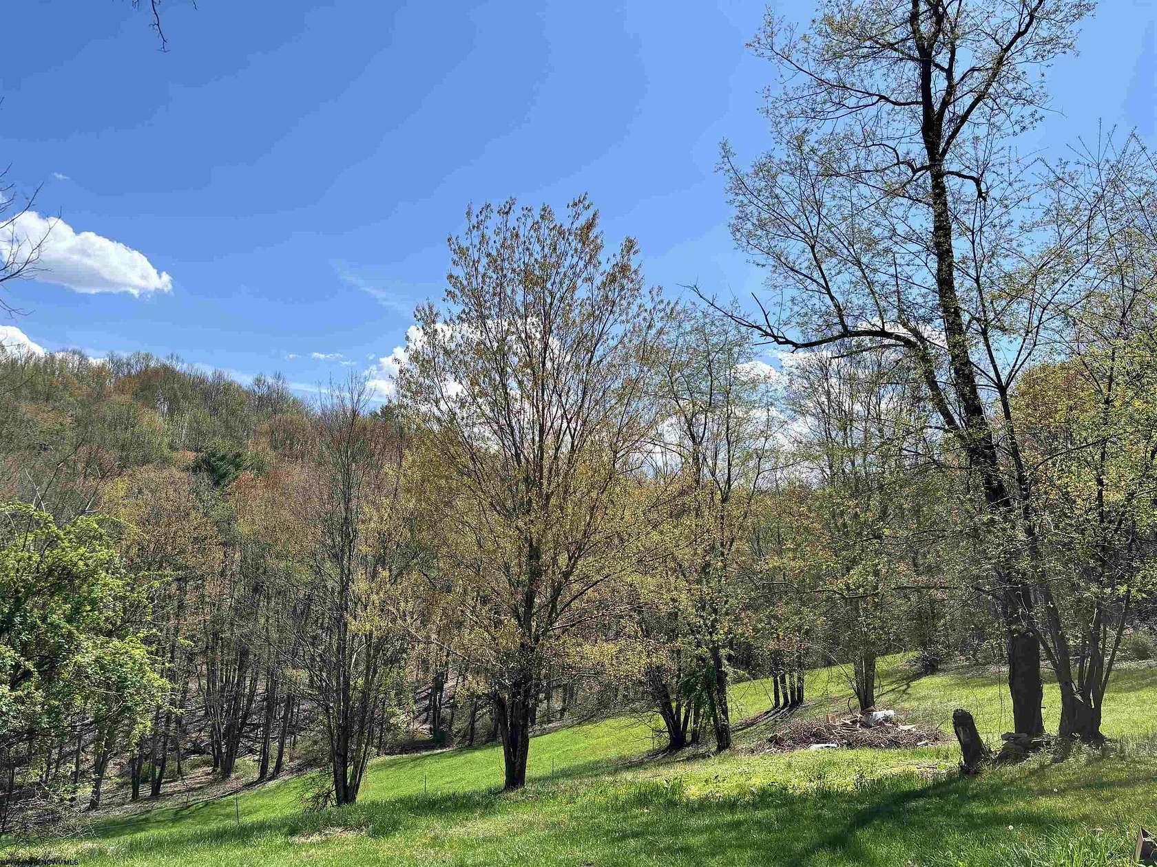 18.4 Acres of Recreational Land for Sale in Philippi, West Virginia