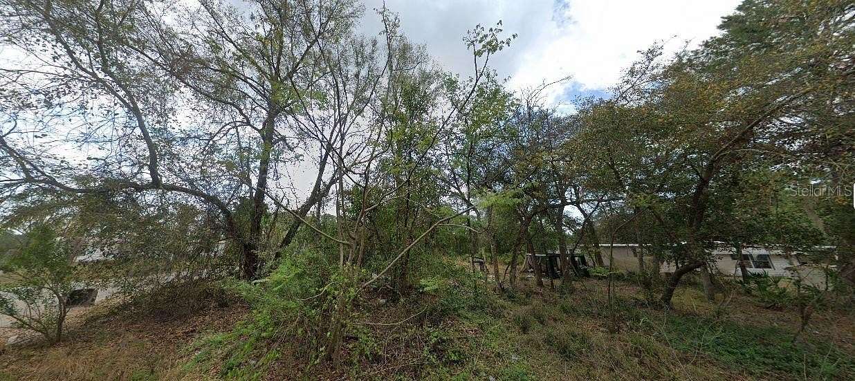 0.44 Acres of Residential Land for Sale in Paisley, Florida