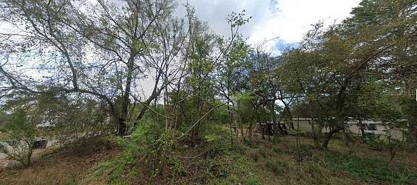 0.44 Acres of Residential Land for Sale in Paisley, Florida