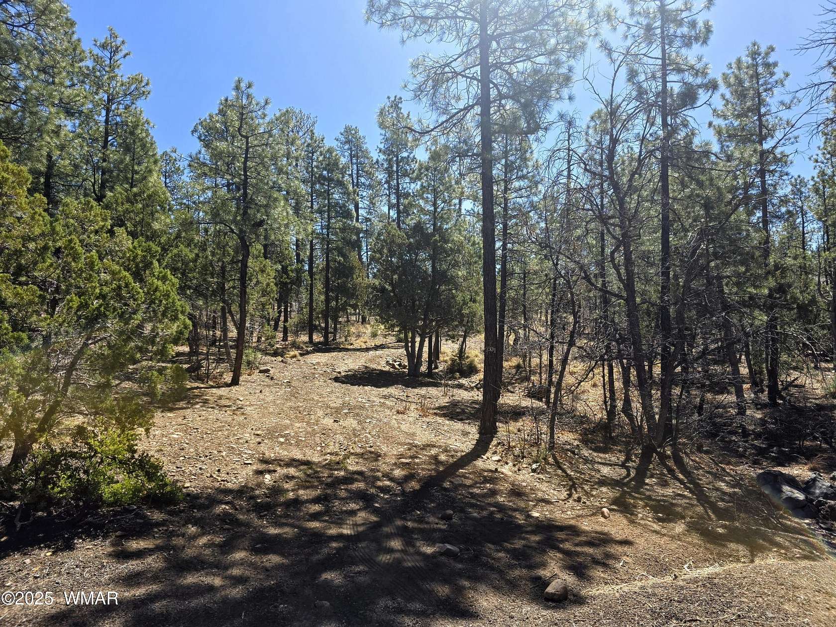 0.62 Acres of Residential Land for Sale in Pinetop, Arizona