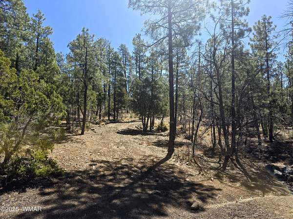 0.62 Acres of Residential Land for Sale in Pinetop, Arizona