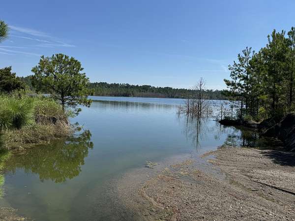 275 Acres of Recreational Land for Sale in York, Alabama