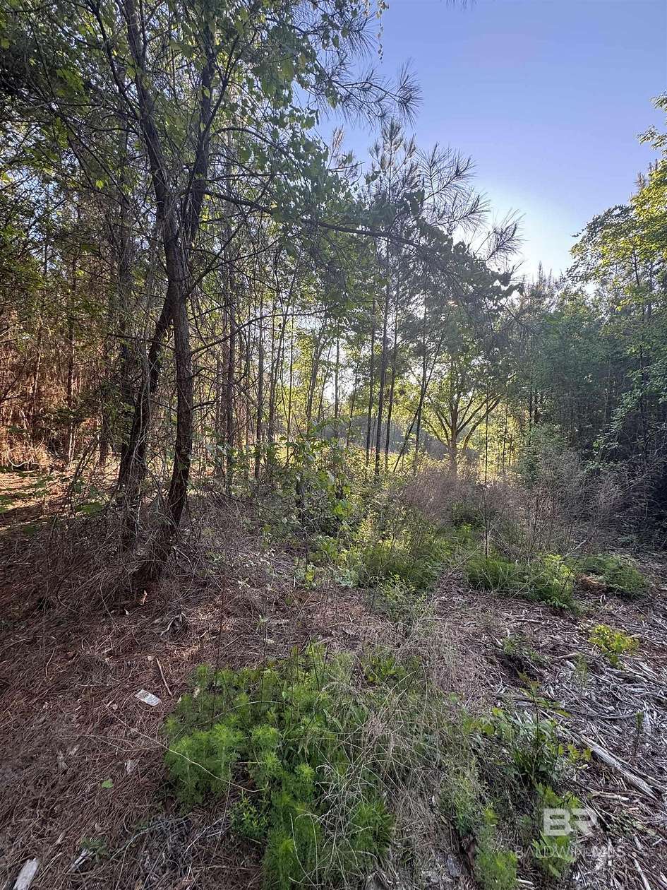 3.12 Acres of Residential Land for Sale in Stapleton, Alabama