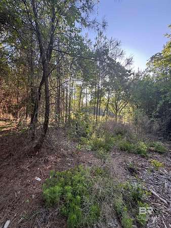 3.12 Acres of Residential Land for Sale in Stapleton, Alabama