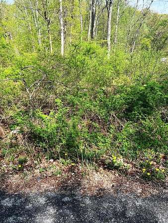 1 Acre of Residential Land for Sale in Putnam Valley, New York