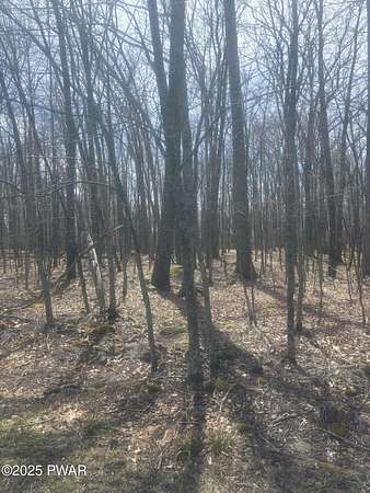 0.44 Acres of Residential Land for Sale in Hawley, Pennsylvania