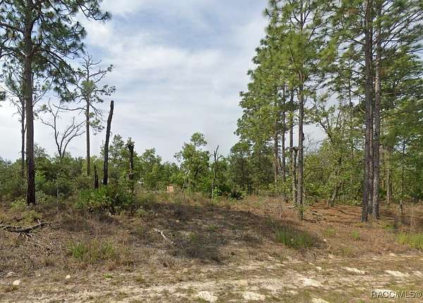 0.23 Acres of Residential Land for Sale in Dunnellon, Florida