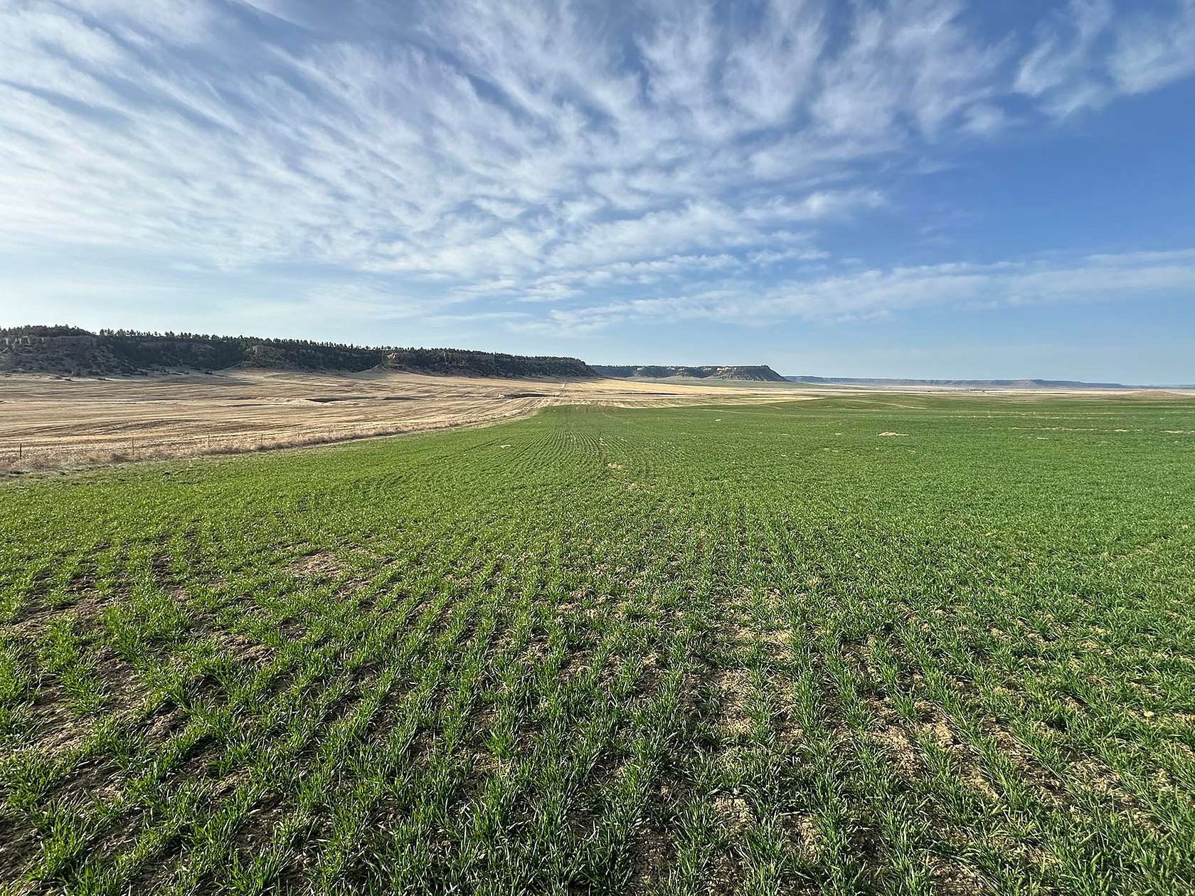 1,544 Acres of Land for Sale in Ryegate, Montana