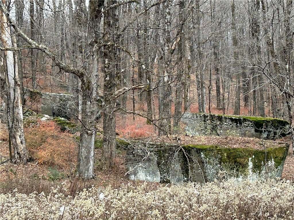 177 Acres of Recreational Land for Sale in Roscoe, New York