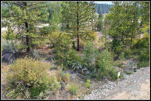 0.31 Acres of Land for Sale in Idaho City, Idaho