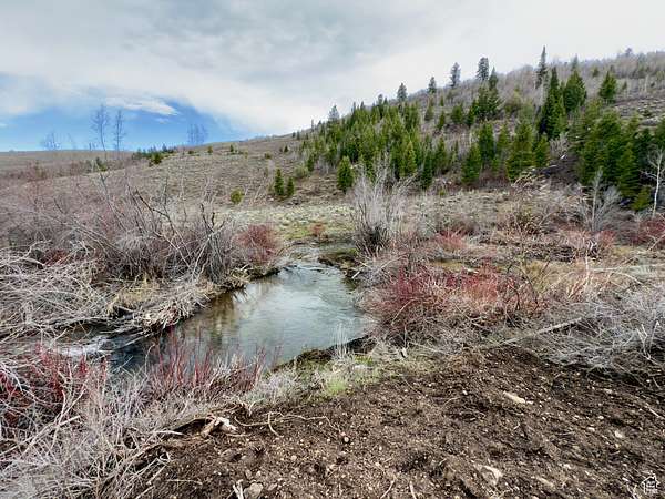 10.7 Acres of Recreational Land for Sale in Bloomington, Idaho