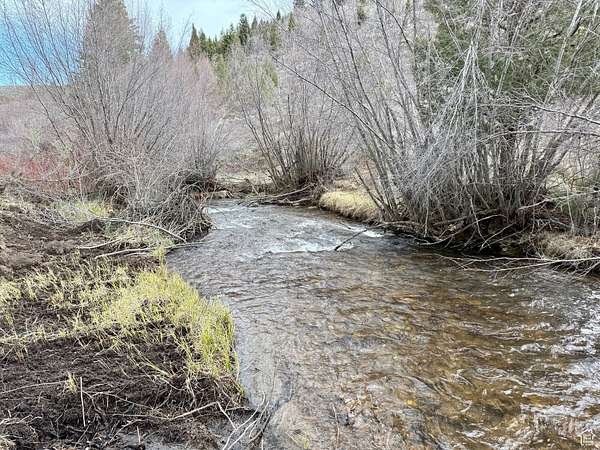 10.8 Acres of Recreational Land for Sale in Bloomington, Idaho