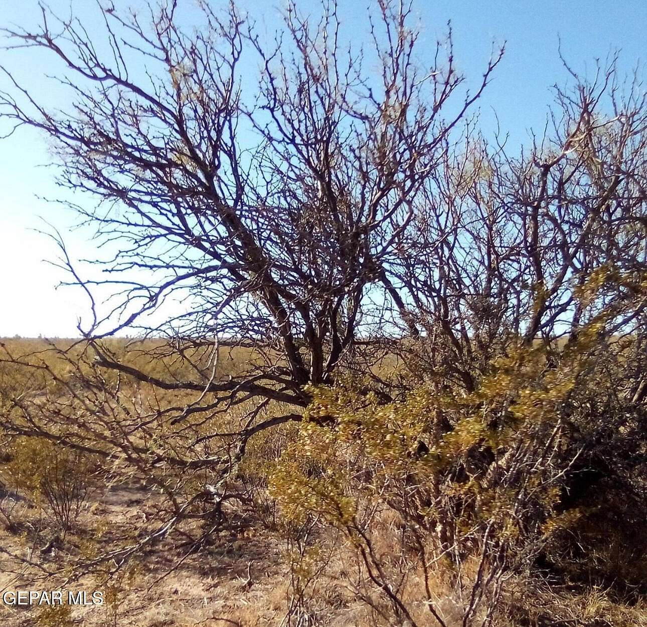 20 Acres of Land for Sale in Sierra Blanca, Texas