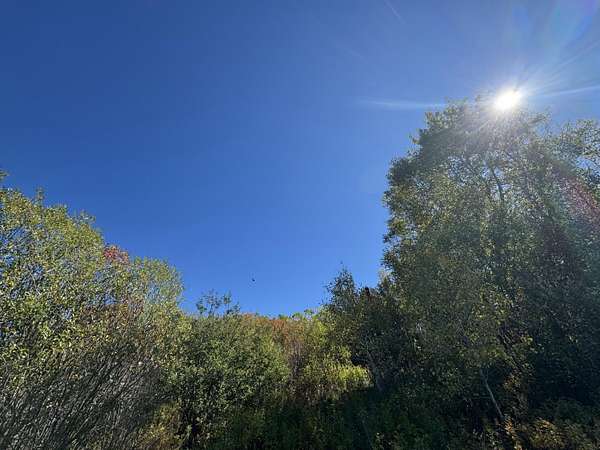 2.75 Acres of Residential Land for Sale in Whiting, Maine