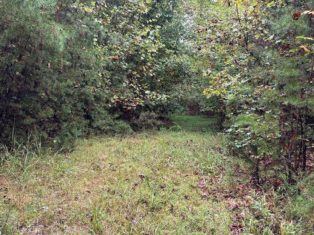26.3 Acres of Recreational Land for Sale in Farmville, Virginia