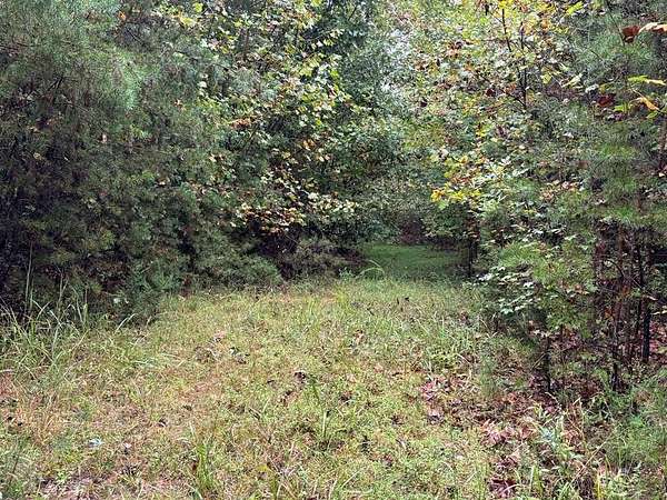 26.3 Acres of Recreational Land for Sale in Farmville, Virginia